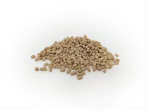 Blésotto Petit Épeautre (500g)