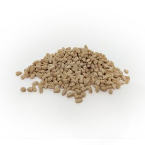 Blésotto Petit Épeautre (500g)